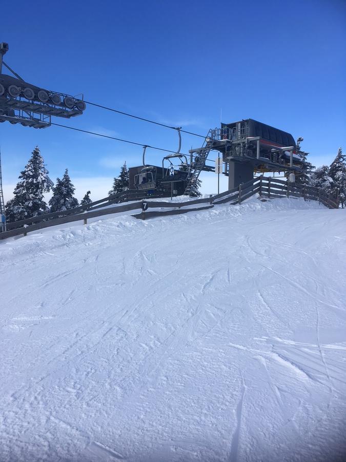 Concordia Harzapart Braunlage Exteriér fotografie