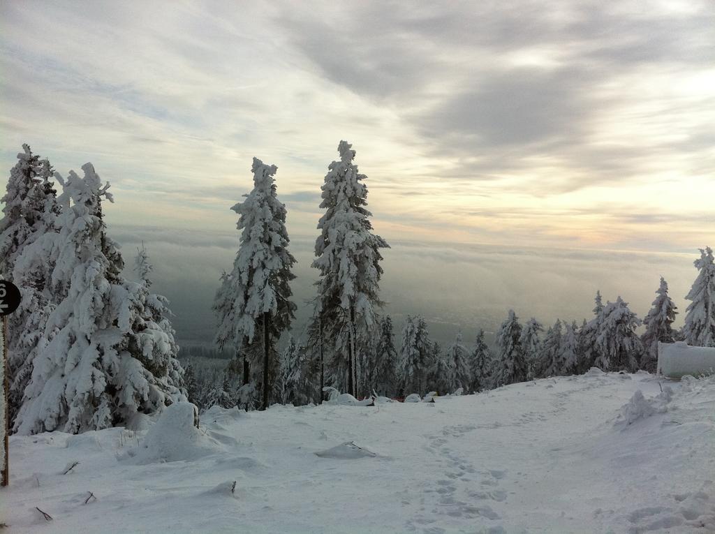 Concordia Harzapart Braunlage Exteriér fotografie