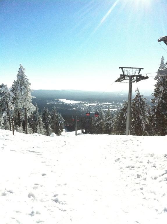 Concordia Harzapart Braunlage Exteriér fotografie