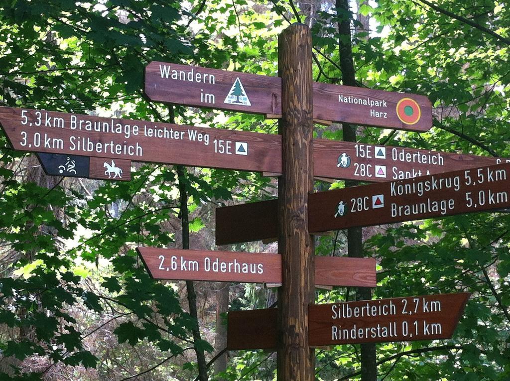 Concordia Harzapart Braunlage Exteriér fotografie