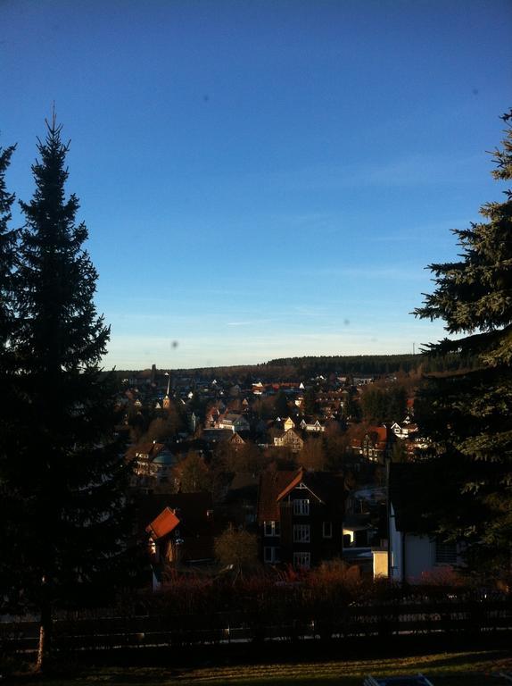 Concordia Harzapart Braunlage Exteriér fotografie